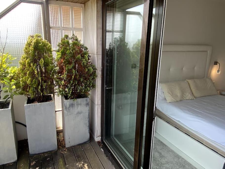 Avenida Vt - Vivienda Turistica Apartment San Sebastian Luaran gambar